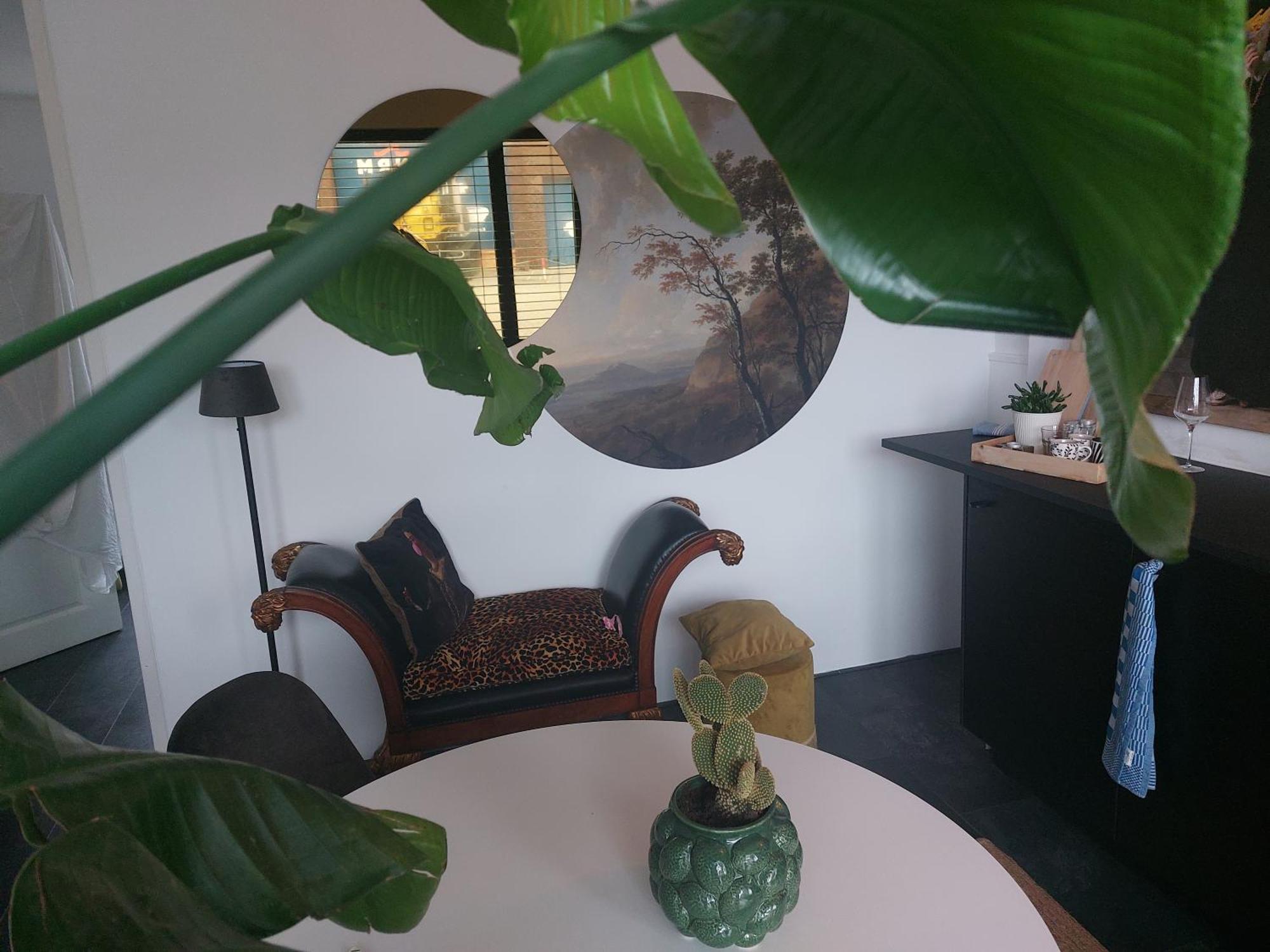 Rembrandtsbeachsuite 잔드보르트 외부 사진